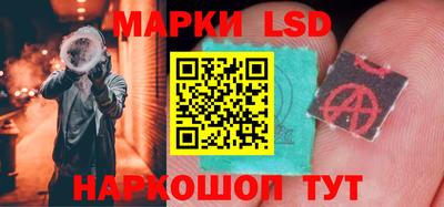 шишки Владимир