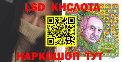 шишки Владимир