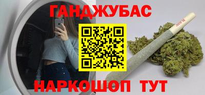 шишки Владимир