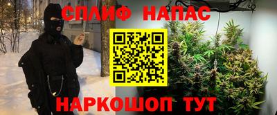 спиды Брянск