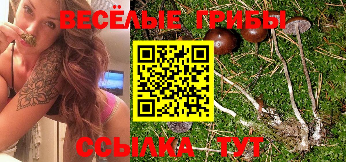 Галлюциногенные грибы ЛСД Долгопрудный