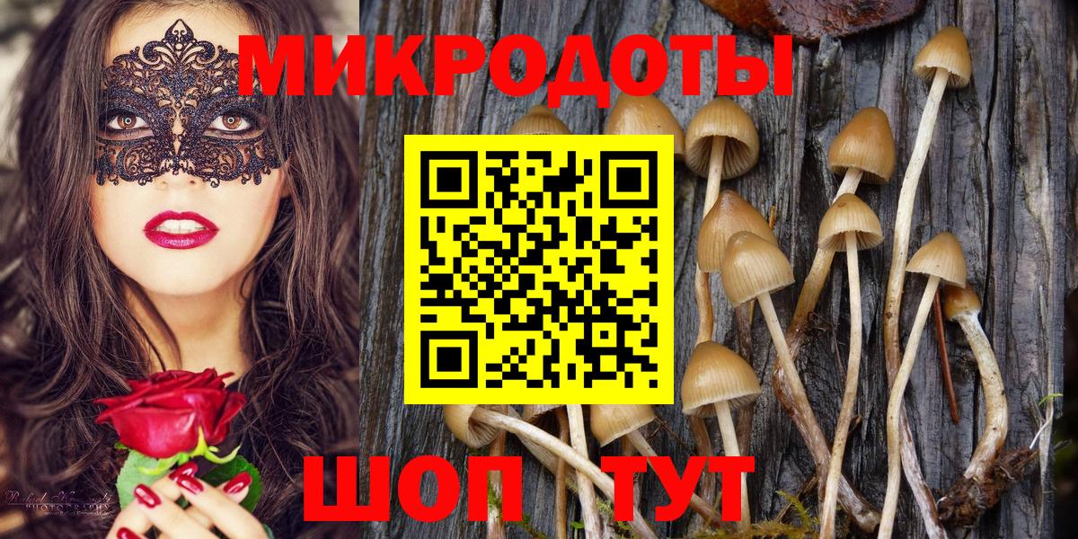 Галлюциногенные грибы Psilocybe  Галлюциногенные грибы GOLDEN TEACHER  Вход с VPN  Долгопрудный 